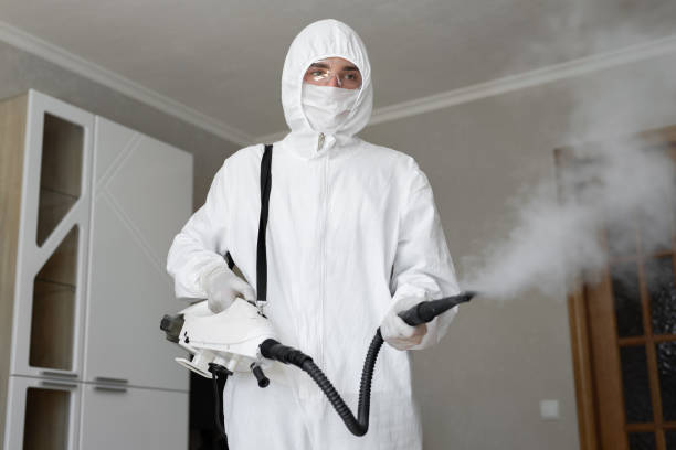 Mold Odor Removal Services in Herscher, IL