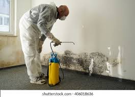 Why You Should Choose Our Mold Remediation Services in Herscher, IL